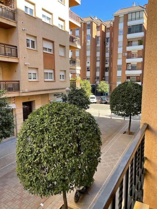 Apartamento Zoco Cordoue Extérieur photo